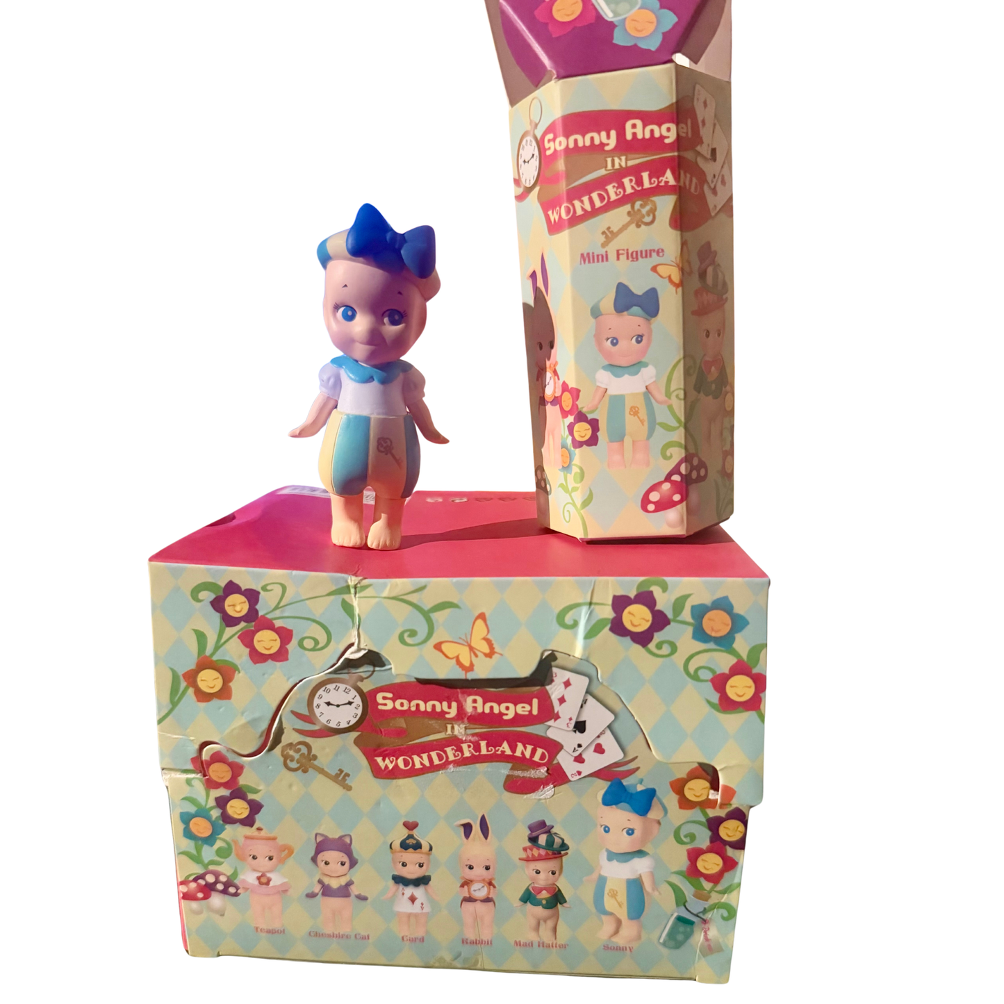 Sonny Alice & Wonders